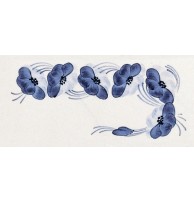 Ferroluce Арт. 09.DEC.P