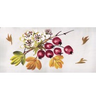 Ferroluce Арт. 12.DEC.BBI