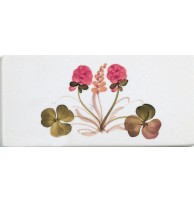 Ferroluce Арт. 43.DEC.TRS