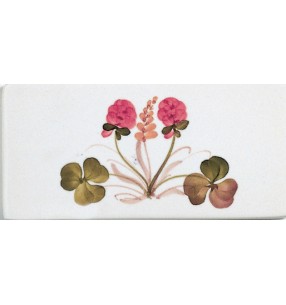 Ferroluce Арт. 43.DEC.TRS