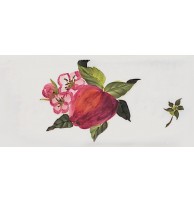 Ferroluce Арт. 45.DEC.FM