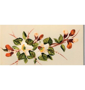 Ferroluce Арт. 56.DEC.FAR