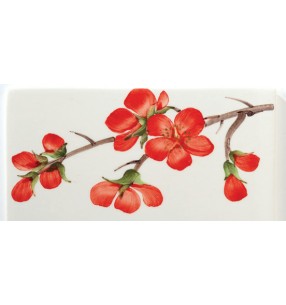 Ferroluce Арт. 68.DEC.PIR