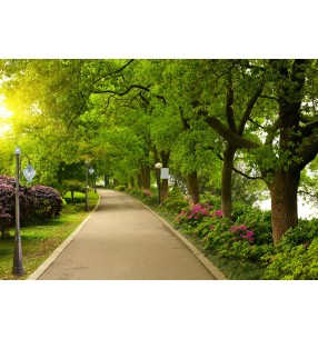 Фонарь Арт.EP358-250AMB SIRU (ИТАЛИЯ) Фонарь Арт.EP358-250AMB SIRU (ИТАЛИЯ)